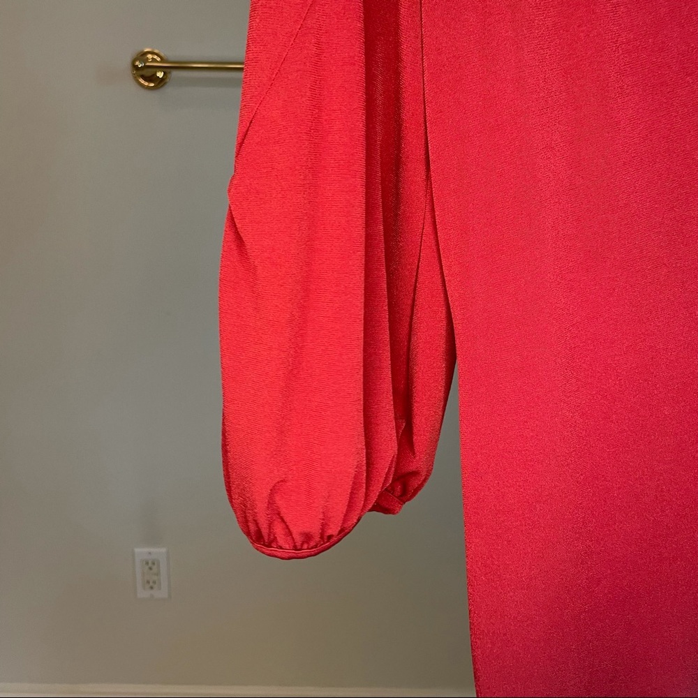 Red BR Dress - Picture 4 of 4